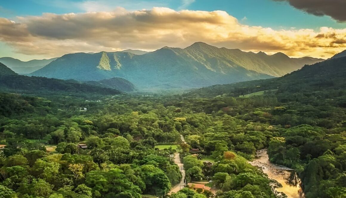 14 curiosidades sobre Joinville