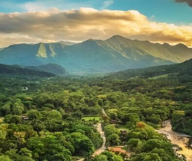 14 curiosidades sobre Joinville