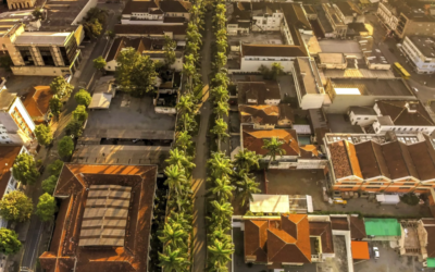 Imagens da Rua das Palmeiras - Passeios em Joinville - guia jlle SC 001 Alameda Brüstlein, conhecida como Rua das Palmeiras,