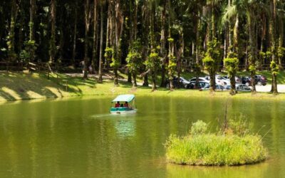 Imagens do Parque Recanto Diamante - Passeios rurais em Joinville - guia jlle SC 001 Parque Recanto Diamante - Estrada Bonita