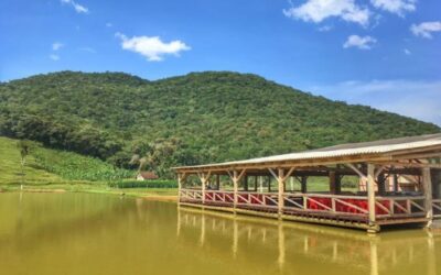Imagens do Pesque e Pague Sítio 3 Lagoas - Passeios rurais em Joinville - guia jlle SC Pesque Pague Sítio 3 Lagoas - Estrada do Salto 2 Vila Nova, Joinville, SC