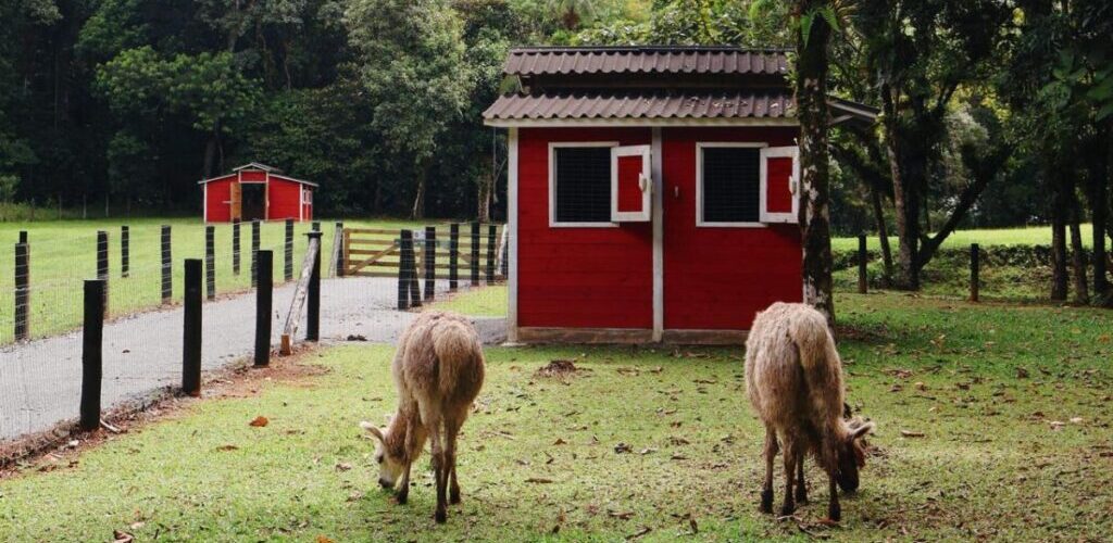 Imagens do Recanto Serrinha - Passeios rurais em Joinville - guia jlle SC 0001 Recanto serrinha - Passeio rural em Joinville