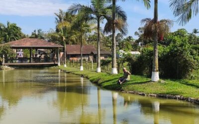 Imagens do Restaurante e Pesque e Pague Paranaguamirim - Passeios rurais em Joinville - guia jlle SC 0001 Pesque e Pague Paranaguamirim - pesque pague em Joinville