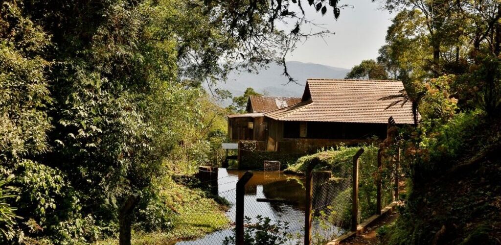 Imagens do Sítio Canela Preta - Passeios rurais em Joinville - guia jlle SC 0001 Sítio Canela Preta - Estrada Dona Francisca