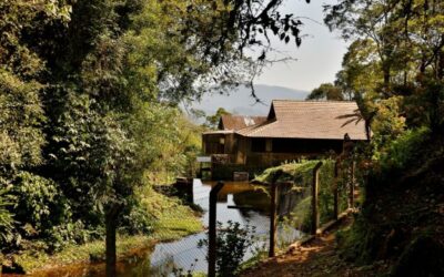 Imagens do Sítio Canela Preta - Passeios rurais em Joinville - guia jlle SC 0001 Sítio Canela Preta - Estrada Dona Francisca