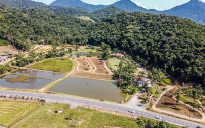 Imagens do Sítio do Brema - Passeios rurais em Joinville - guia jlle SC 00001 Sítio do Brema - pista de mountain bike em Joinville
