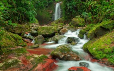 Imagens do Vale do Ouro Eco Club - Passeios rurais em Joinville - guia jlle SC 0001 Vale do Ouro Eco Club - cachoeira no Piraí