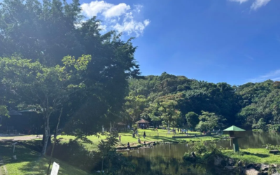 Imagens do Zoobotânico Joinville - Passeios em Joinville - guia jlle SC ZooBotânico Joinville