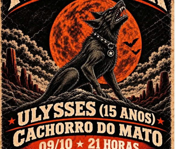 Cachorro do Mato no Texas Bar Joinville 09102026